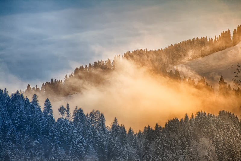 Icy wildernesses